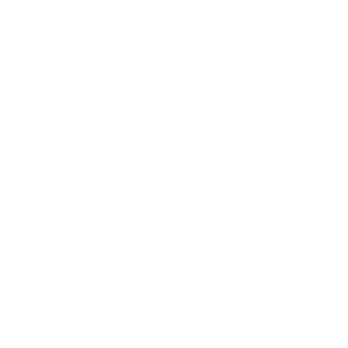 Misión