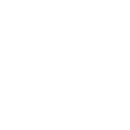 Visión